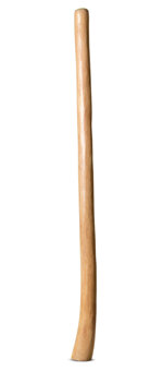 Medium Size Natural Finish Didgeridoo (TW997)